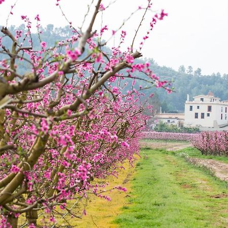 Hotel Rural Mas De L'Illa Tivissa Екстер'єр фото