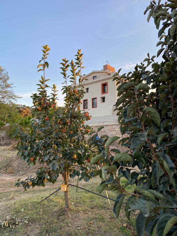 Hotel Rural Mas De L'Illa Tivissa Екстер'єр фото