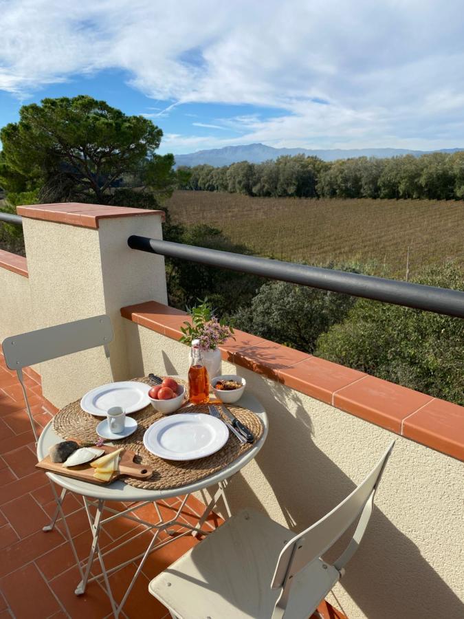 Hotel Rural Mas De L'Illa Tivissa Екстер'єр фото